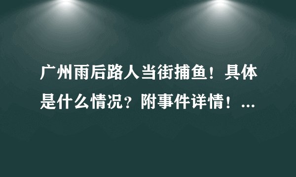 广州雨后路人当街捕鱼！具体是什么情况？附事件详情！ - 飞外网