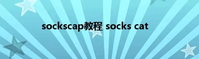 sockscap教程 socks cat