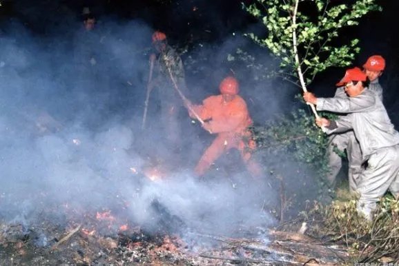 福建漳浦大埔村突发山火？