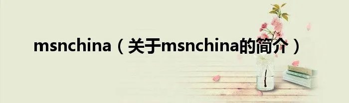 msnchina（关于msnchina的简介）