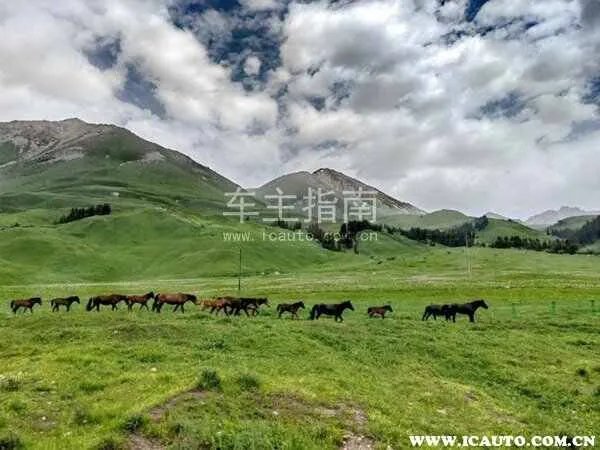 独库公路开放时间几月到几月