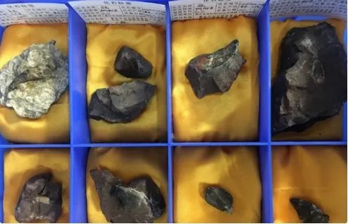 重庆什么地方发现恐龙化石群?