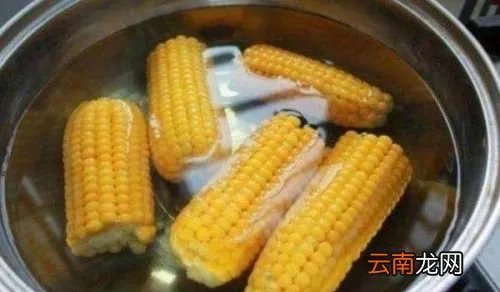 为什么玉米要尽量少吃( 二 )