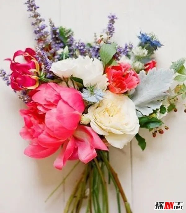 新娘为啥要拿捧花?真相让人崩溃(借花香遮掩身上难闻的臭味)