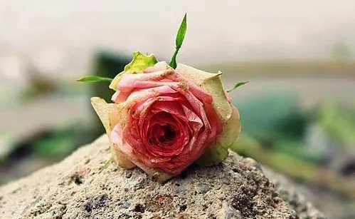 水命的人命运如何 水命的人忌讳什么