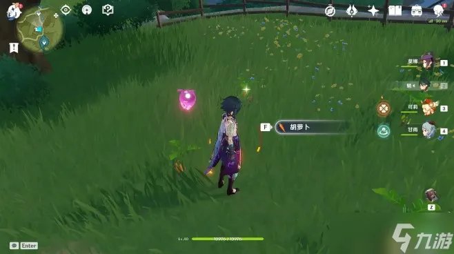 原神福至五彩红色采集物介绍