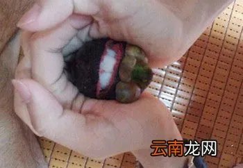 山竹怎么剥皮图解 快速剥山竹妙招