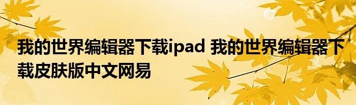 我的世界编辑器下载ipad 我的世界编辑器下载皮肤版中文网易