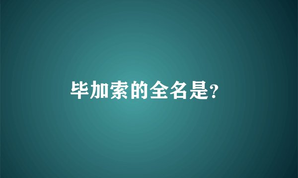 毕加索的全名是？
