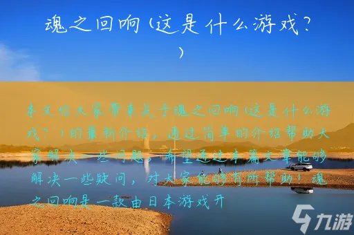 魂之回响 这是什么游戏