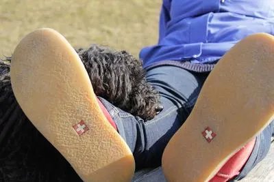 被狗咬了需要注意什么