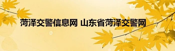 菏泽交警信息网 山东省菏泽交警网