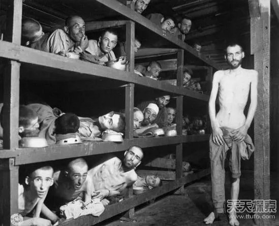 世界最凄惨的30张照片 你能看几张(太震撼了)