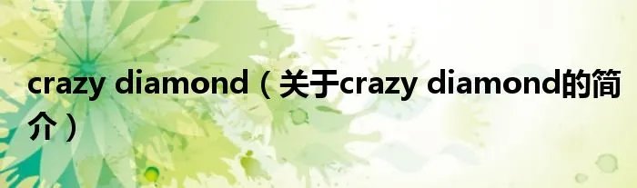 crazy diamond（关于crazy diamond的简介）
