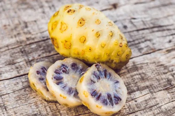 什么不适合喝诺丽果