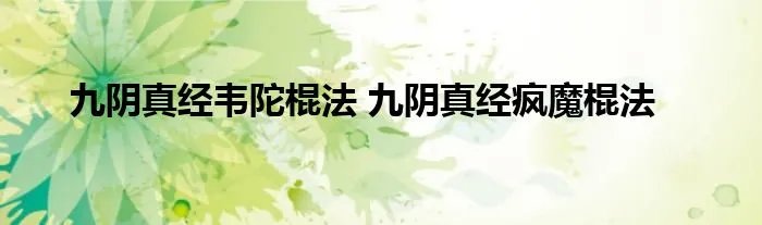 九阴真经韦陀棍法 九阴真经疯魔棍法