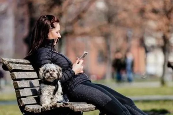 柏林宣布实施宵禁，德国民众对此做何回应？