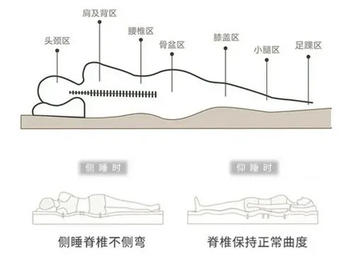乳胶床垫的优缺点有哪些