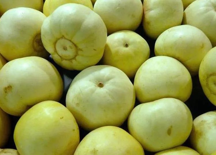 香瓜的功效与作用