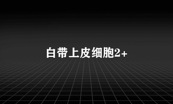 白带上皮细胞2+