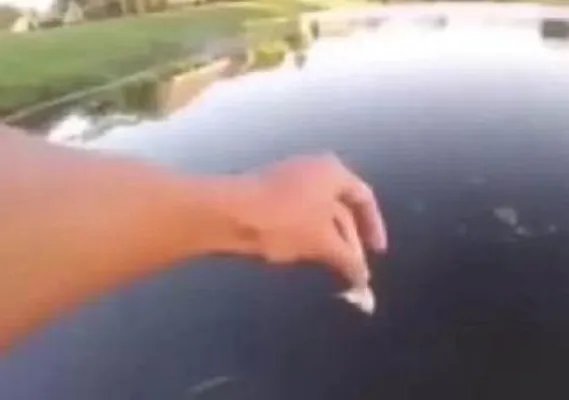 男子把老鼠放进水面-下幕不可思议（组图）