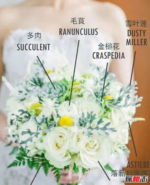 新娘为啥要拿捧花?真相让人崩溃(借花香遮掩身上难闻的臭味)