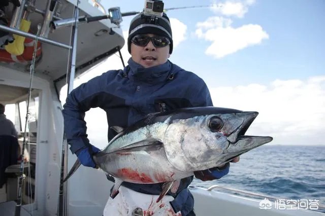 除了《游钓中国》，你还喜欢什么钓鱼类视频？