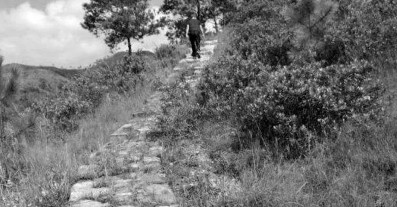 河源现百公里古道是真的吗？