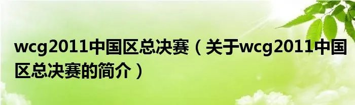 wcg2011中国区总决赛（关于wcg2011中国区总决赛的简介）