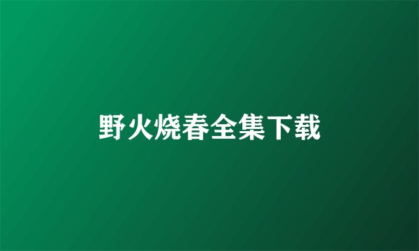 野火烧春全集下载