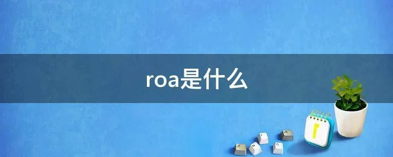 roa是什么