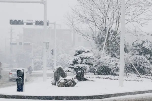 沈阳8日全市学校停课一天,停课的原因是什么?