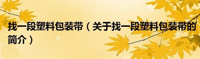 找一段塑料包装带（关于找一段塑料包装带的简介）