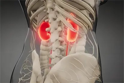 肾痛和腰痛的位置图