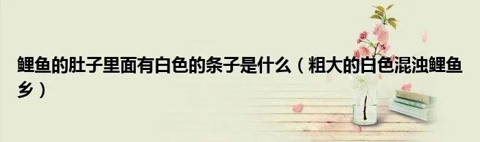 鲤鱼的肚子里面有白色的条子是什么（粗大的白色混浊鲤鱼乡）