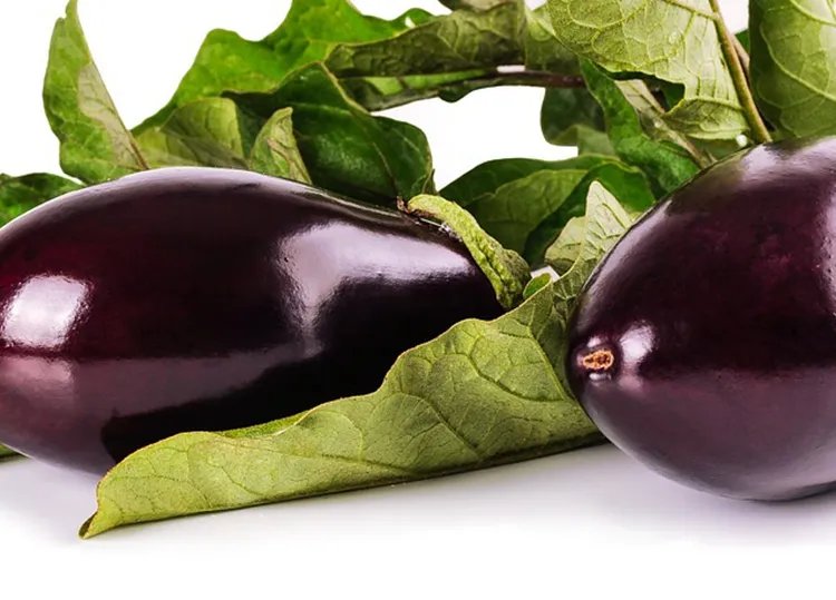 茄子的功效与作用