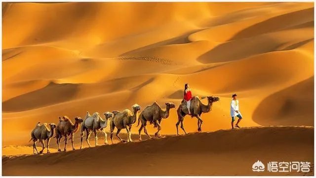 大西北有哪些旅游的好地方?