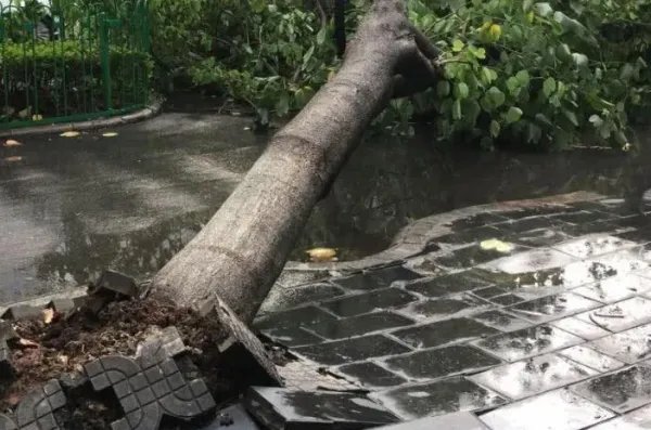 河南开封发布停工停业紧急通知，这其中的缘由是什么？