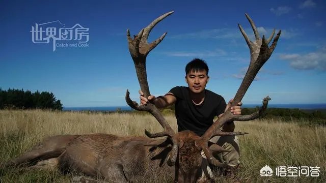 除了《游钓中国》，你还喜欢什么钓鱼类视频？