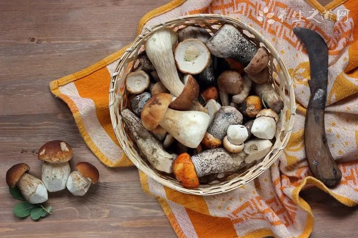 农业部回应转基因 转基因有什么疑问