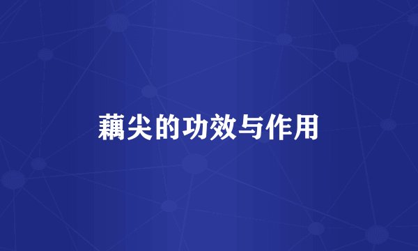 藕尖的功效与作用