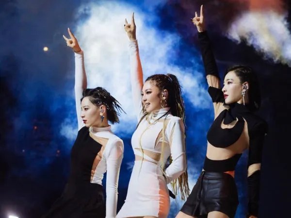 张雨绮组票数第一,有何哪些优势?