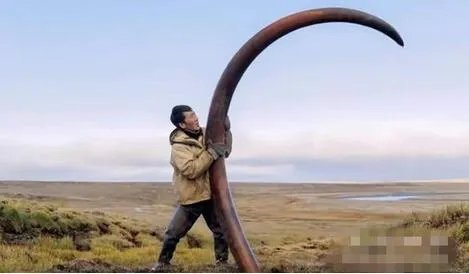 农民海边挖土 竟挖出巨额财富（图）