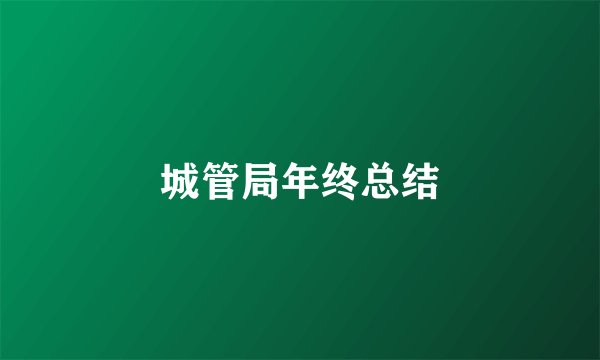 城管局年终总结