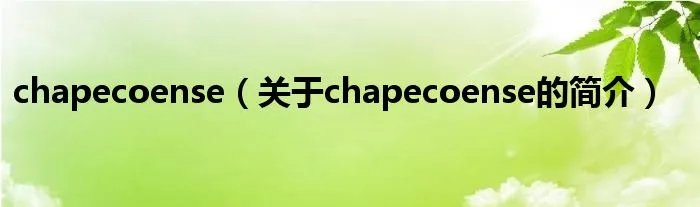 chapecoense（关于chapecoense的简介）