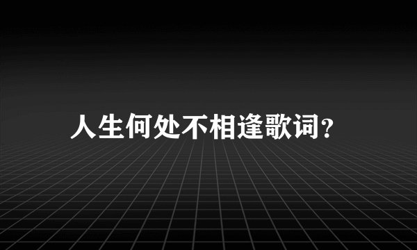 人生何处不相逢歌词？