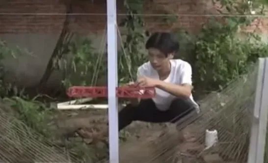 大学生在自家菜地里建微型高铁，期间他遇到过哪些困难？