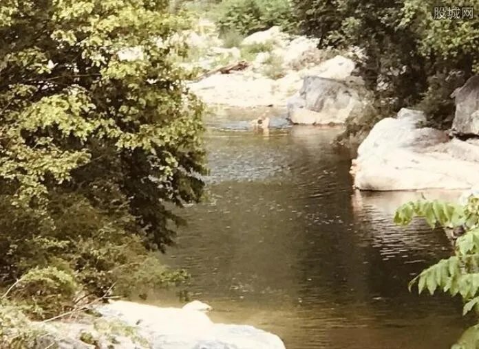 陕西溺水事故致5死含12岁男孩 悲剧是如何发生的？