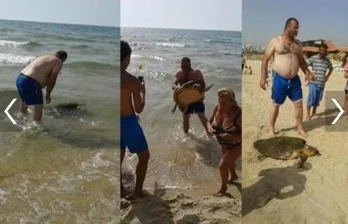 男子脚踩海龟拍照 最高或被罚2万美元