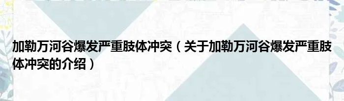 加勒万河谷爆发严重肢体冲突（关于加勒万河谷爆发严重肢体冲突的介绍）
